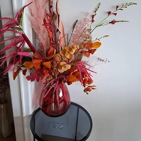 Appartamento Lichtrijk En Comfortabel Hoekappartement Met Gratis Parking En Zeer Gelegen - Comme Chez Soi Ostenda